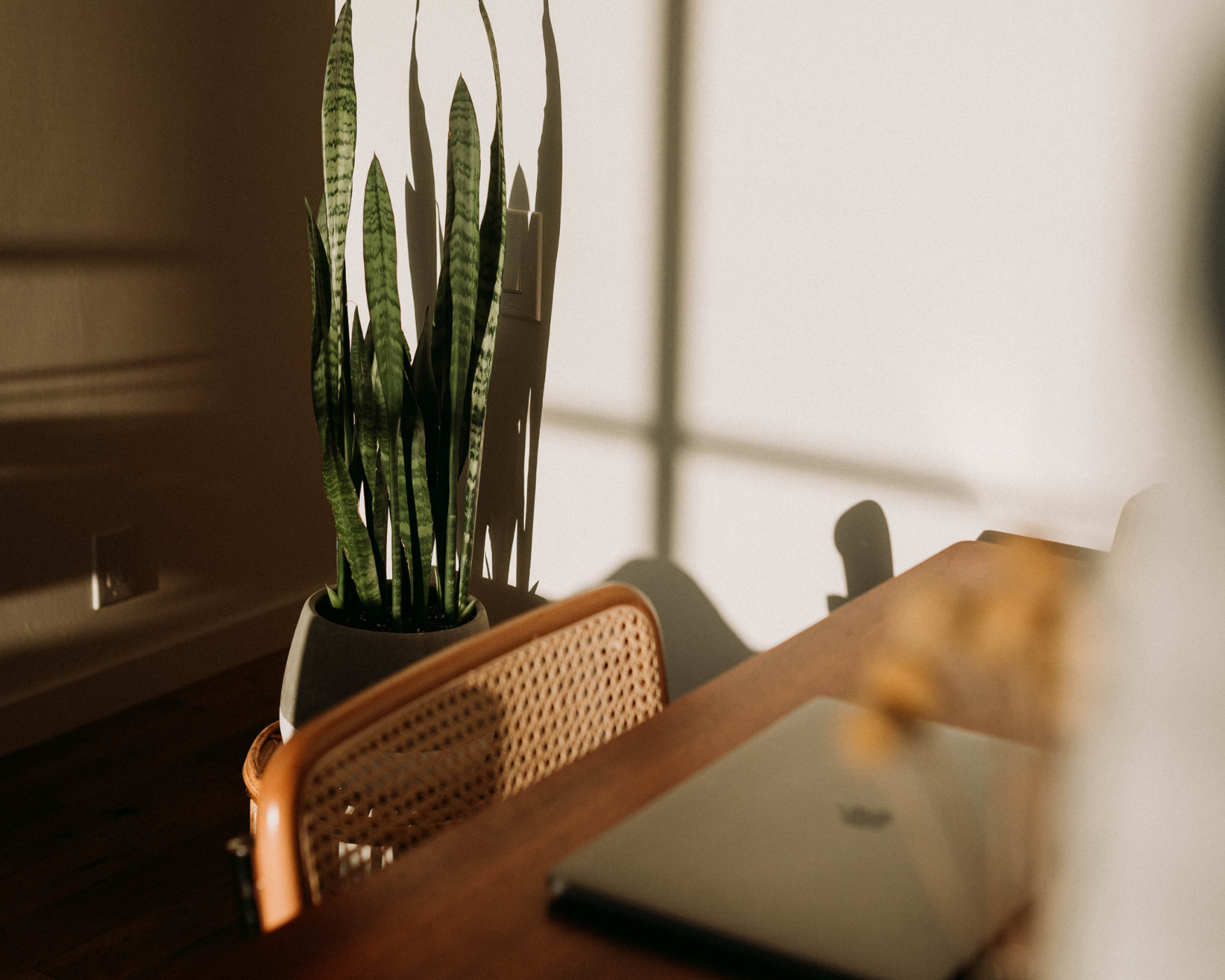 The Color Palette of Mid Century Modern: How to Nail the Look